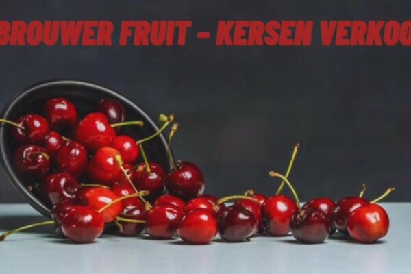 brouwer fruit - kersen verkoop